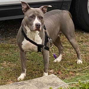 Meet your Posher, Kenneth